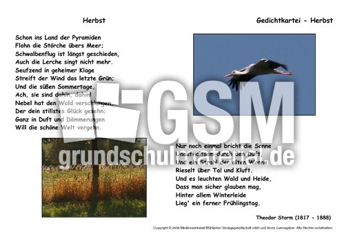 Herbst-Storm.pdf